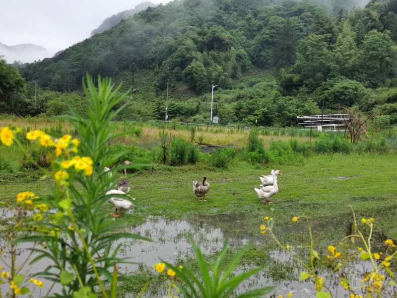 农家乐存在的积极意义_大山村农家乐_石台馨硒农家乐