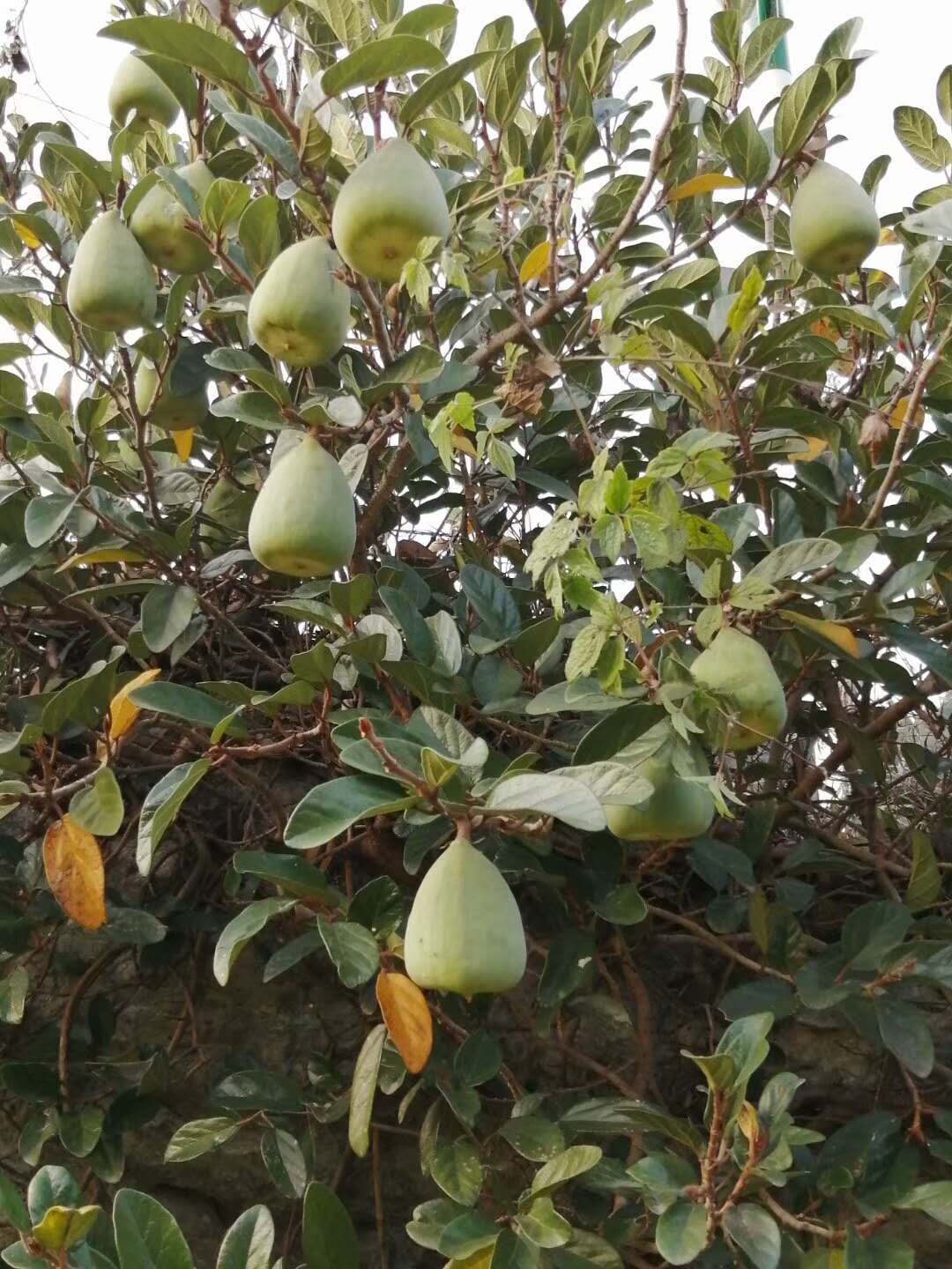 周边环境展示