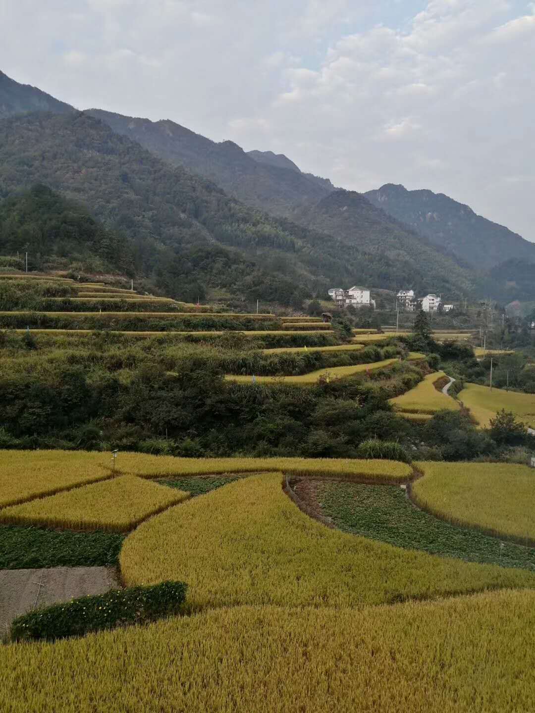 周边环境展示