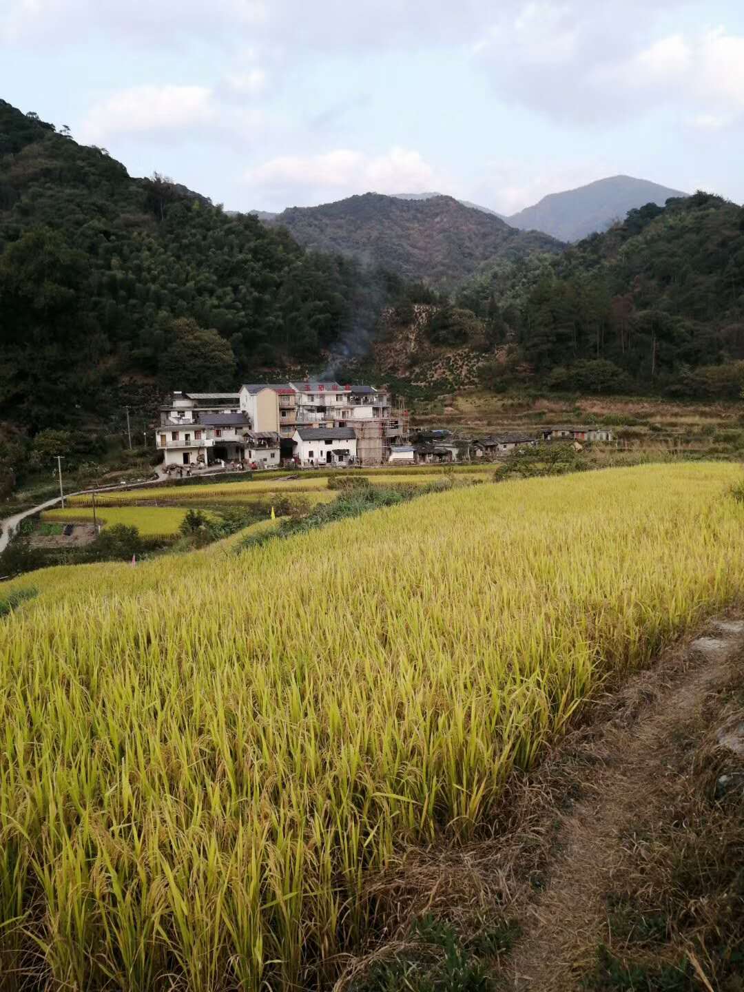 周边环境展示