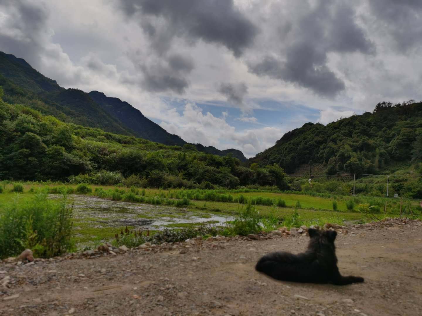 周边环境展示