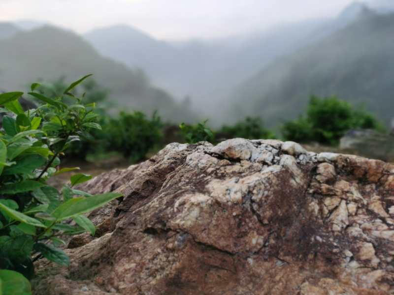 周边环境展示/大山村农家乐