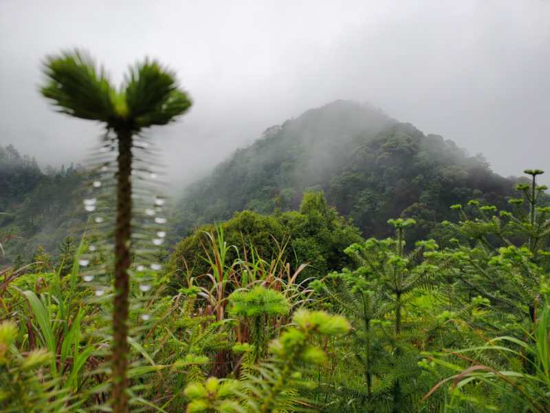  大山村农家乐，怎样才能“乐”得久_大山村农家乐_石台馨硒农家乐