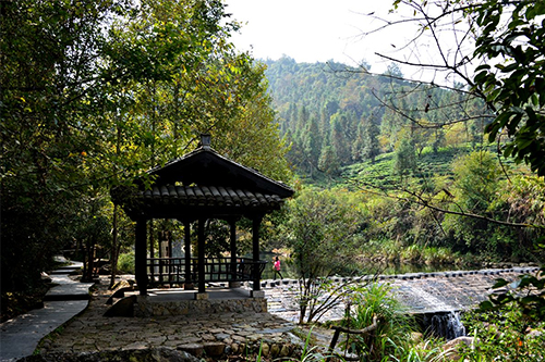 大山村农家乐