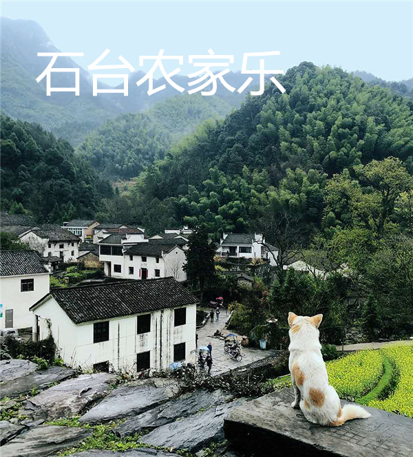 石台农家乐